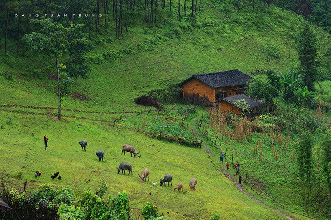 Northern Vietnam, a charming beauty  - ảnh 1